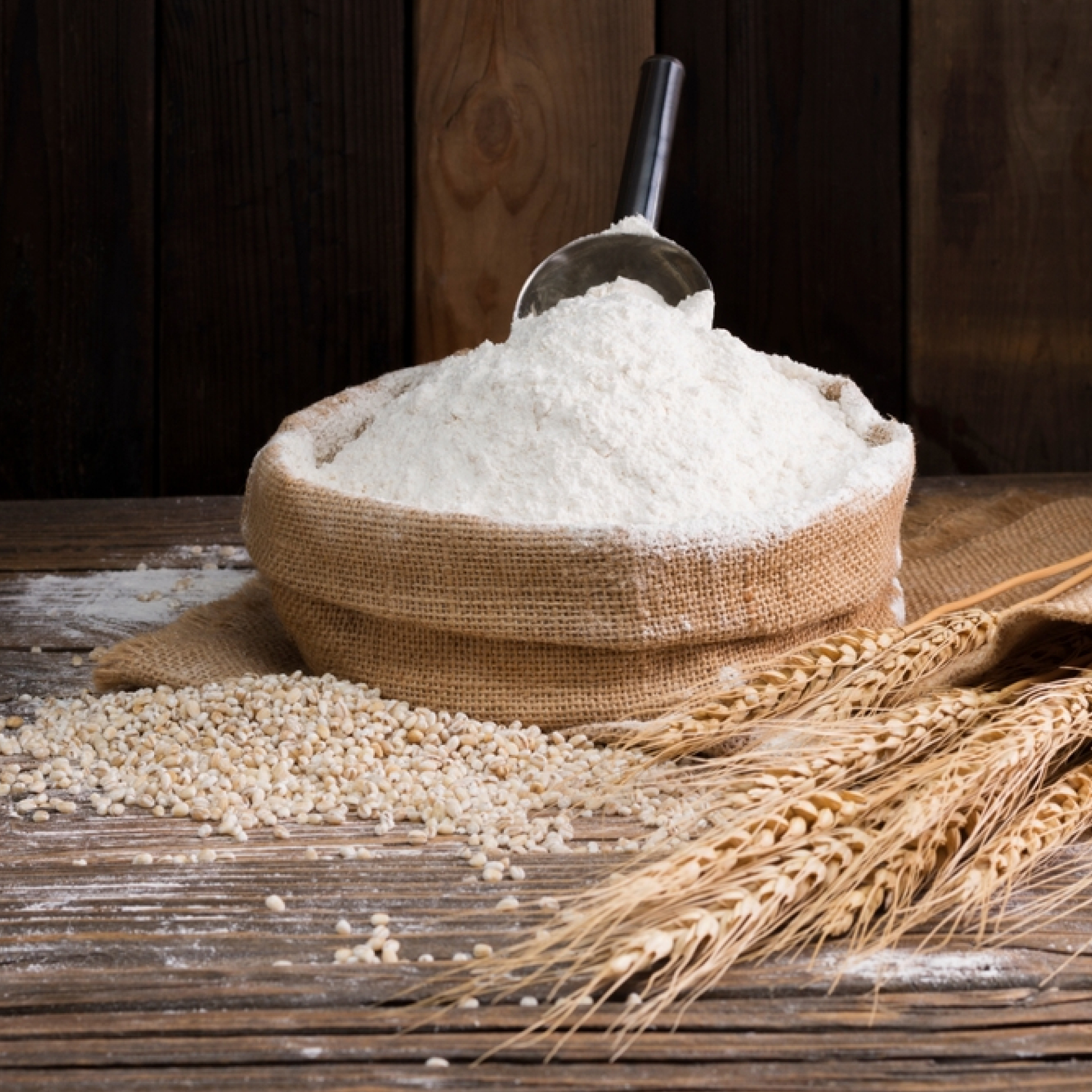 Wheat Flour